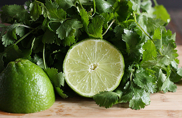 Wickedly Good Fish Taco Sauce | SoupAddict.com